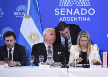 Avance del super-RIGI en el Senado enfrenta demandas de cambios por parte de bloques dialoguistas