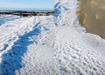 Alerta amarilla por frío extremo para el lunes 24 de agosto: provincias afectadas