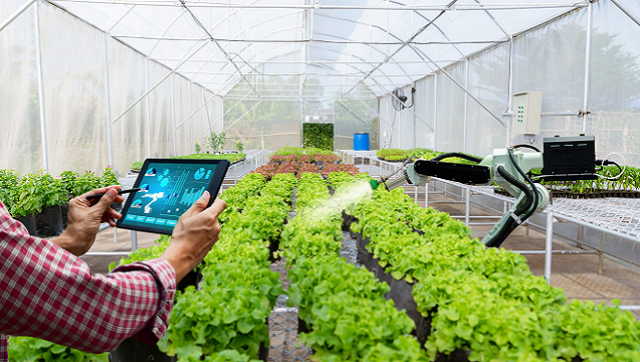 Del campo interconectado a la agroindustria inteligente: el reto de transformar tecnología en productividad