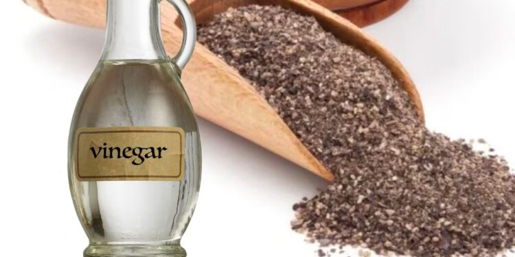 Expertos del hogar sugieren un método casero con vinagre y pimienta para repeler roedores