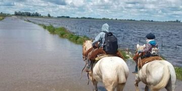 Proponen destinar fondos viales rurales a obras hídricas ante el riesgo de inundaciones por El Niño