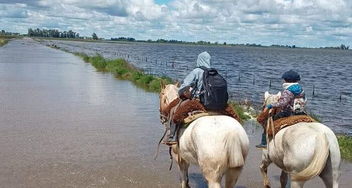 Proponen destinar fondos viales rurales a obras hídricas ante el riesgo de inundaciones por El Niño