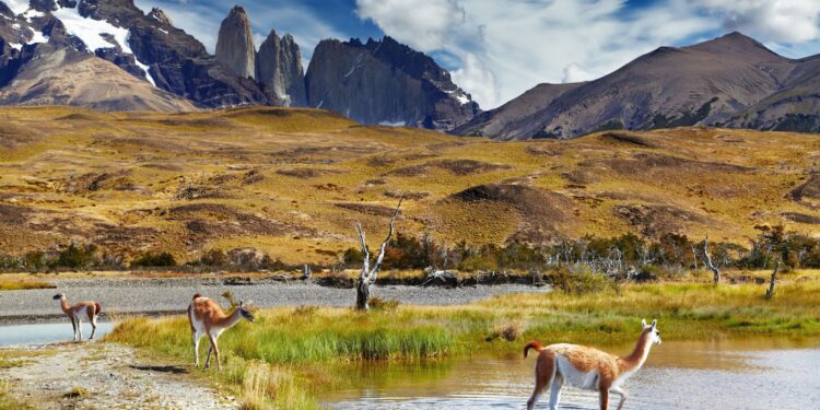 Transformación de una estancia ganadera en un parque nacional ecológico
