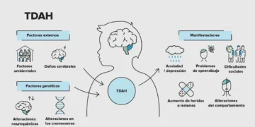 La complejidad del TDAH: ¿Realmente es un problema de atención?