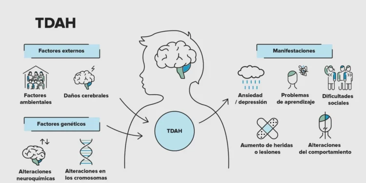 La complejidad del TDAH: ¿Realmente es un problema de atención?