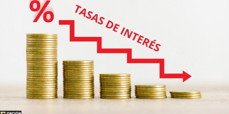 Los bonos en pesos demuestran mayor resiliencia frente a la caída de la deuda en dólares: recomendaciones de los expertos