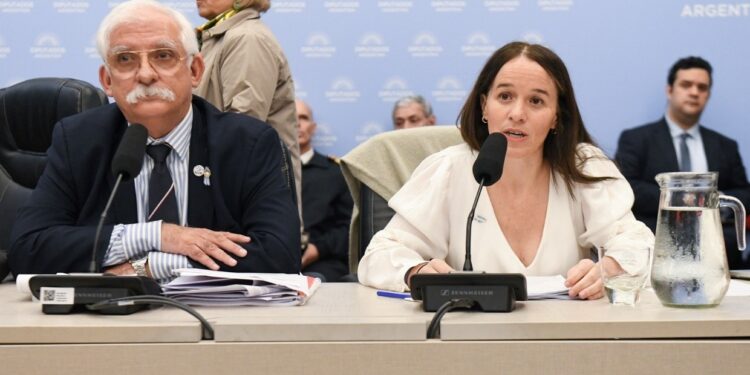 El proyecto sobre Malvinas se estanca y no hay fechas definidas para su tratamiento legislativo